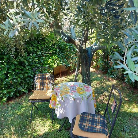 Appartamento Alida Umag Bagian luar foto